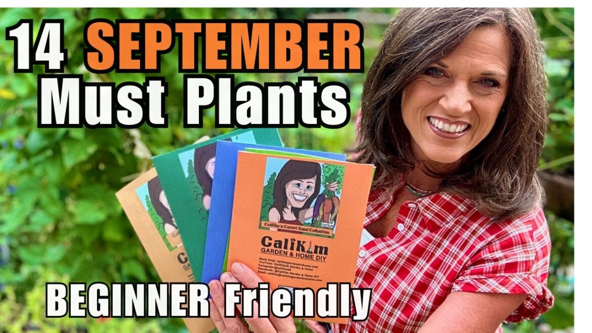 CaliKim: 16 Must Plant Vegetables in September for Fast Fall Harvests (Beginner Friendly!) 16 Must Plant Vegetables in September for Fast Fall Harvests (Beginner Friendly!)