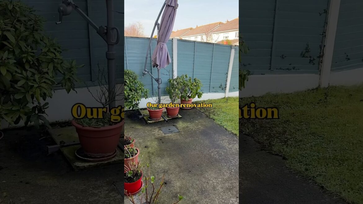 Garden renovation before and after #gardentour #gardendesign #garden #backyard #gardening Garden renovation before and after #gardentour #gardendesign #garden #backyard #gardening