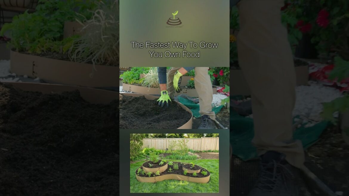 How to build an edible garden in minutes-no tools-DIY Harvest Locker Assembly. How to build an edible garden in minutes-no tools-DIY Harvest Locker Assembly.