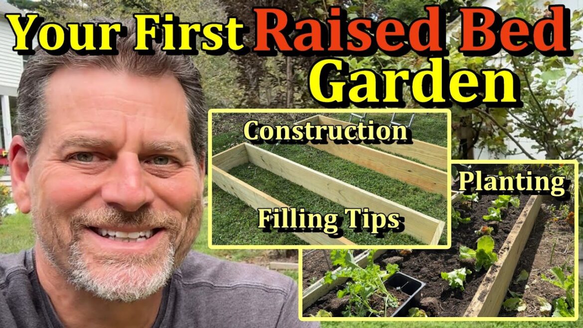 Building, Filling, & Planting Your First Raised Garden Beds - The Right Dimensions!