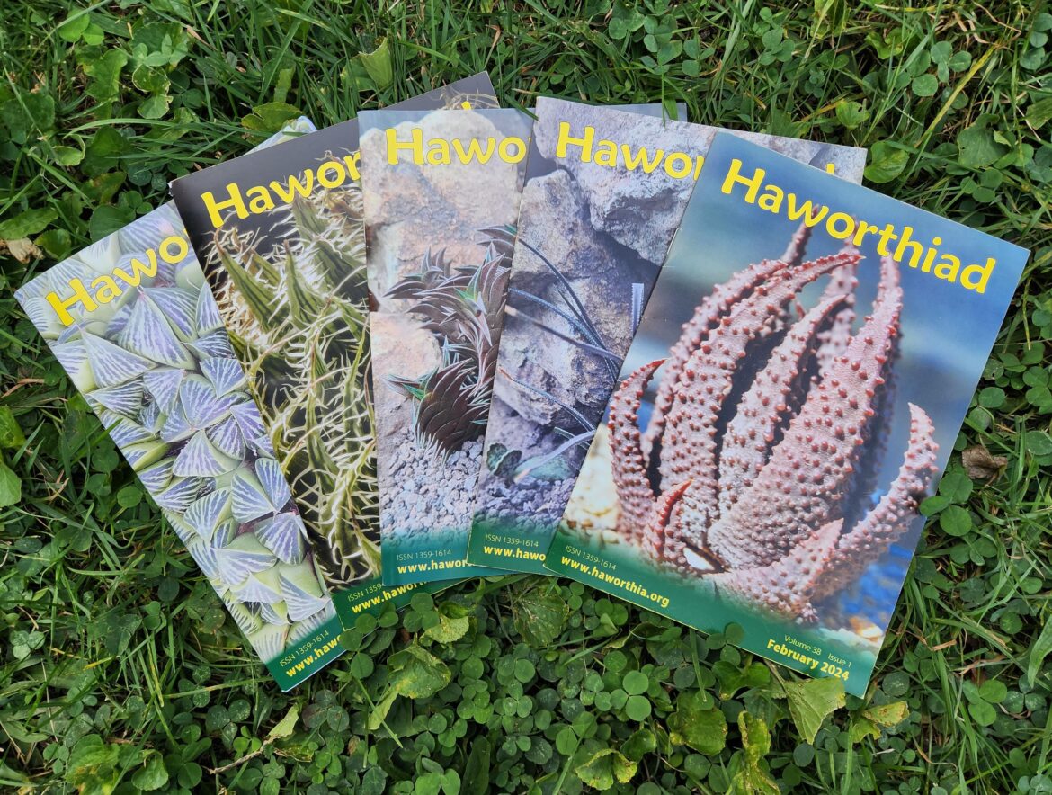 Are you a member of the Haworthia Society?