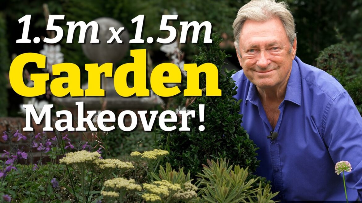 Tiny Garden Makeover (1.5m × 1.5m) in Just a Few Hours Tiny Garden Makeover (1.5m × 1.5m) in Just a Few Hours