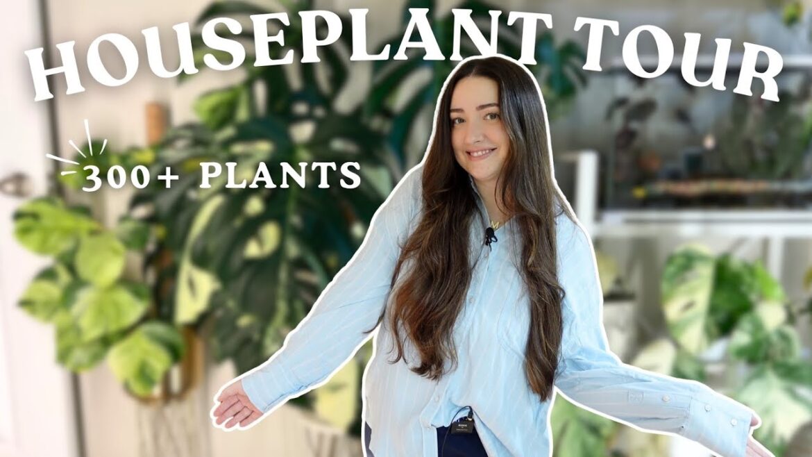 2025 Full Houseplant Collection Tour 2025 Full Houseplant Collection Tour