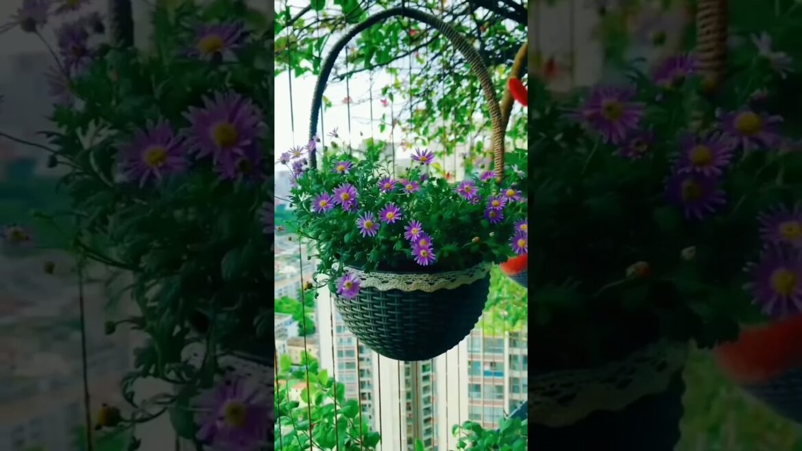Home Garden Decor on a Budget🌴💰#gardening​ #nature​ #flower #photography​ #homedecor​ #asmr​#plants​