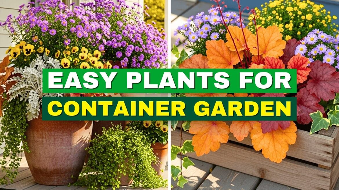 5 Easy Fall Plants for a BEAUTIFUL Porch Container Garden 5 Easy Fall Plants for a BEAUTIFUL Porch Container Garden