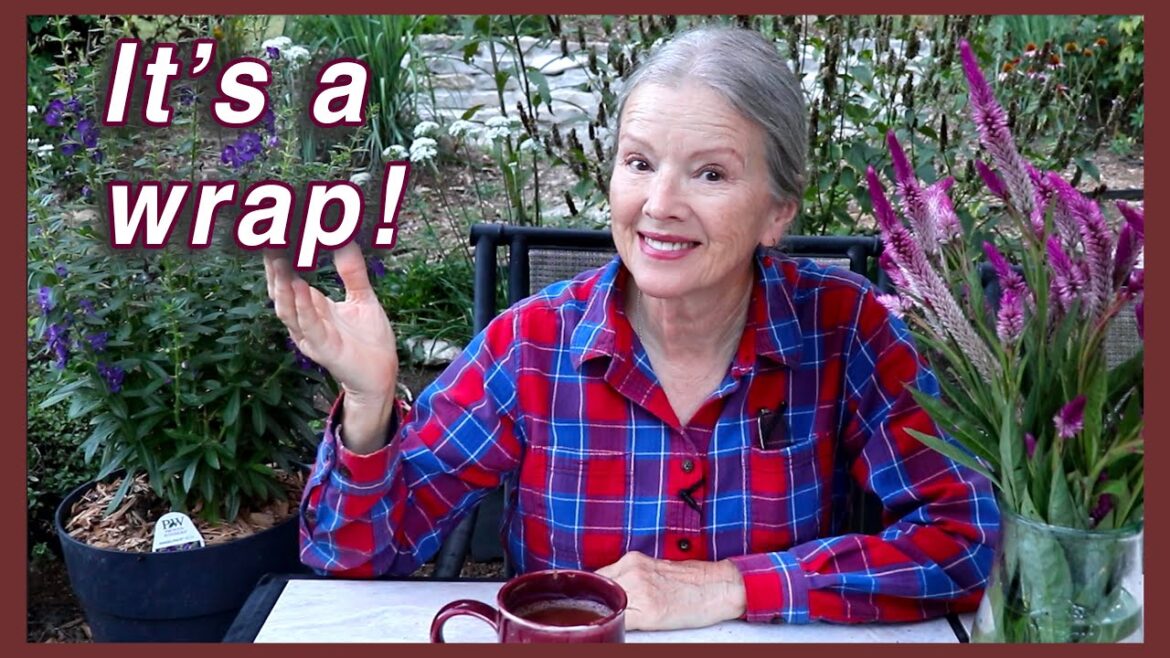 Kaye Kittrell: HUGE August GARDEN Wrap-up! + Magnificent Butterfly! HUGE August GARDEN Wrap-up! + Magnificent Butterfly!