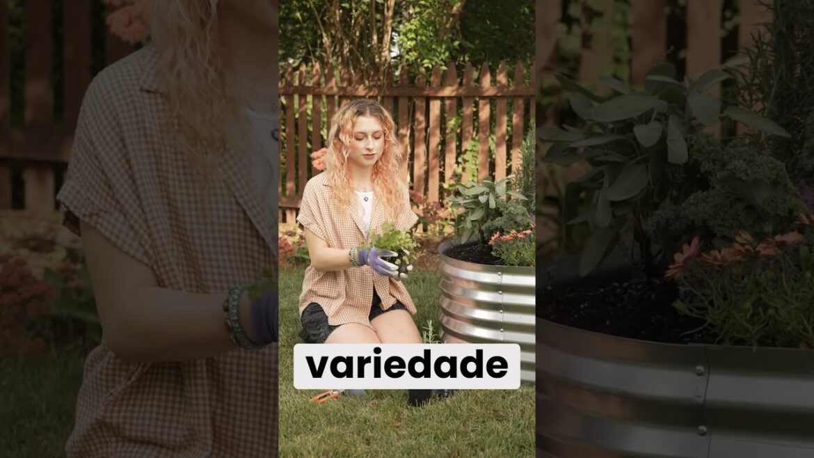 Canteiro Metálico Elevado para Jardim Canteiro Metálico Elevado para Jardim