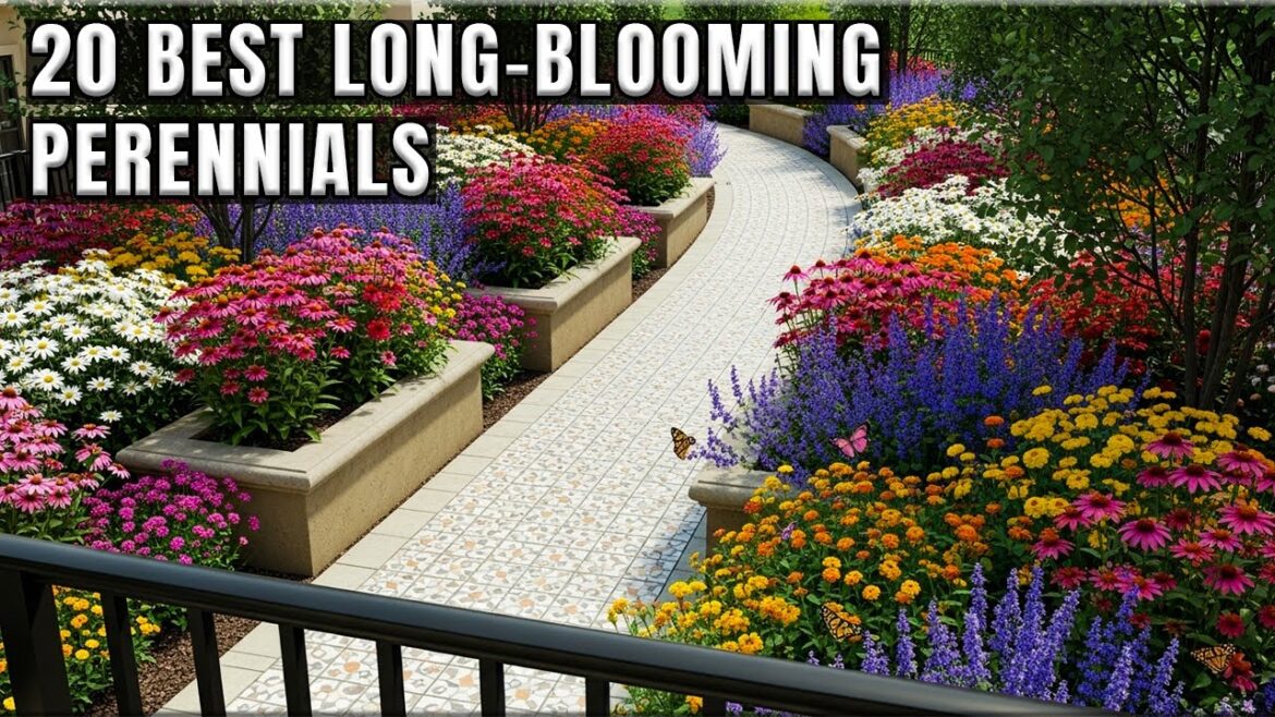 🌼 20 Longest-Blooming Perennial Flowers That Keep Your Garden Alive – Discover & Grow Today! 🌼