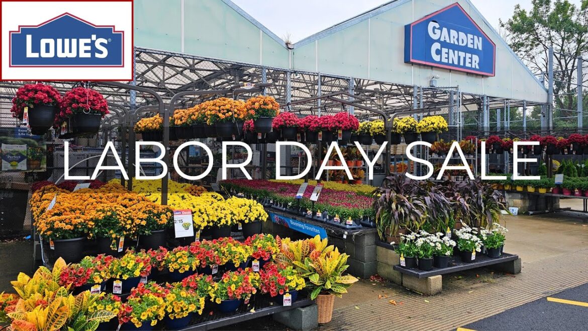 What’s New at Lowe’s Garden Center. Fall Plants & Labor Day Sales 2025