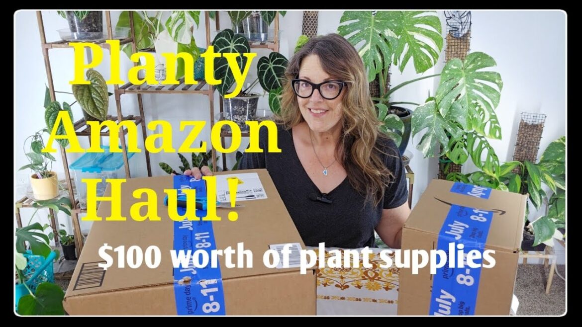 Unboxing $100 of Amazon Plant Supplies | How I Use Them for My Houseplants