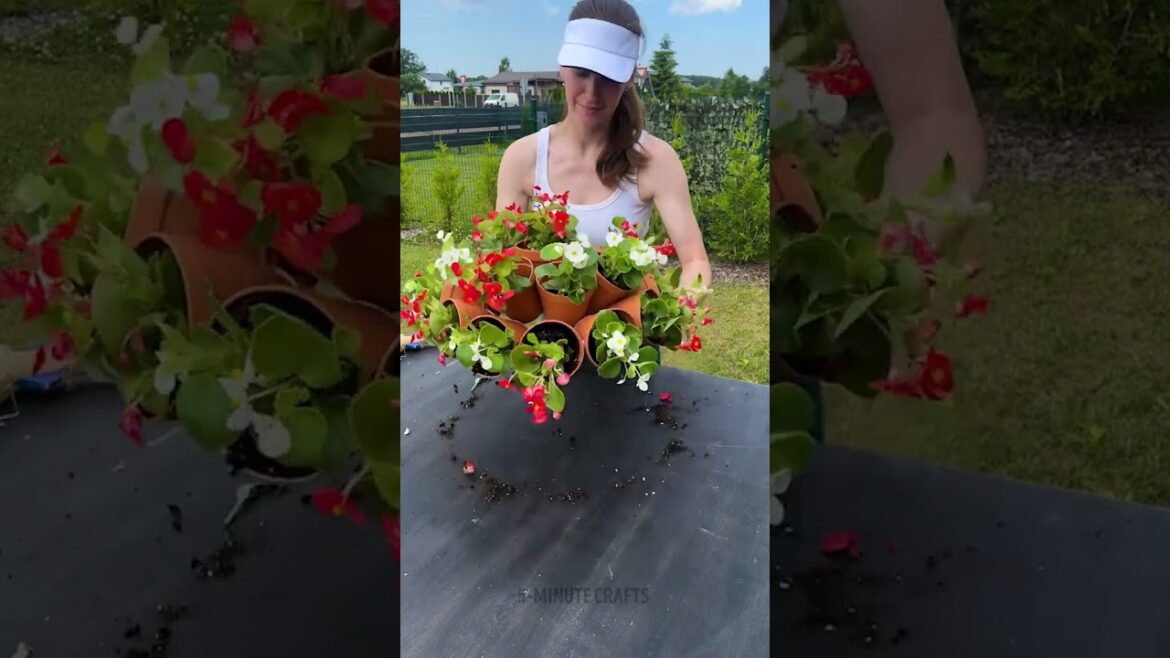 Genius Secret Hiding Place in Your Plant Pot 🪴🤫 Genius Secret Hiding Place in Your Plant Pot 🪴🤫