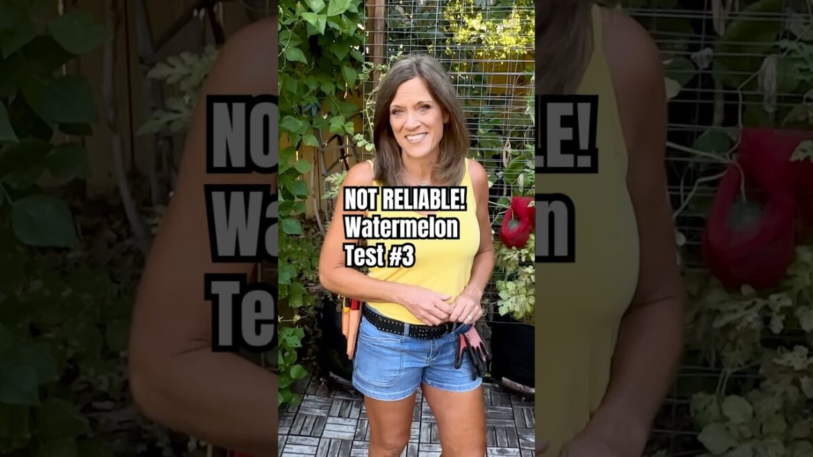 NOT RELIABLE - Watermelon Test #3