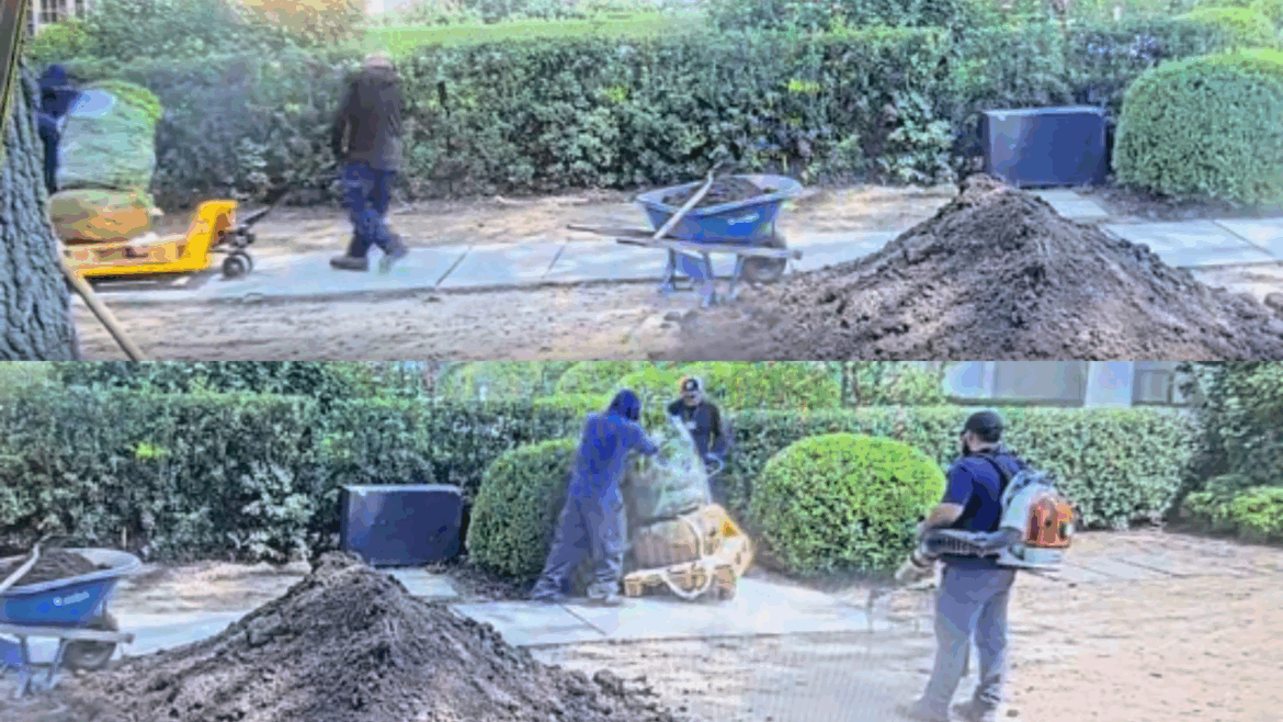 White House Rose Garden’s ‘Most Beautiful Marble’… White House Rose Garden's 'Most Beautiful Marble'…