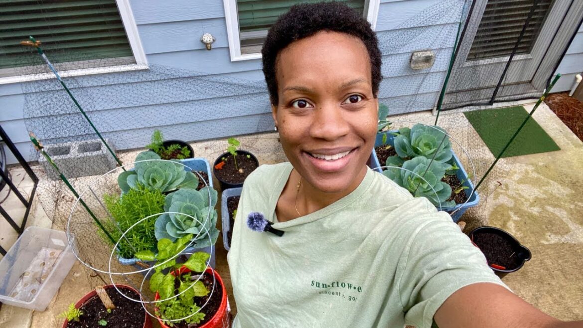 Everything’s Growing! My May Container Garden Tour 🌱🍅 Everything’s Growing! My May Container Garden Tour 🌱🍅