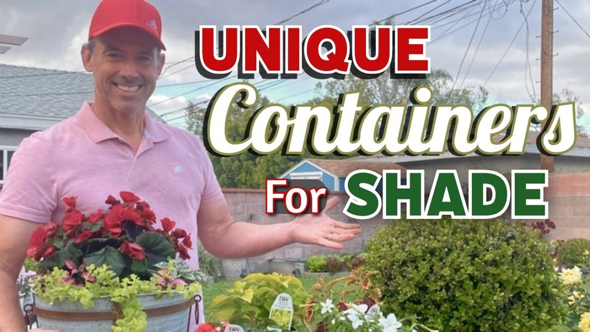 Container Gardening in the Shade: 5 Must-Have Annuals | Gardening with the Williamses