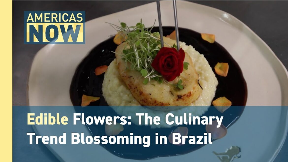 Brazilian Edible Flowers: The Culinary Trend Blossoming Worldwide