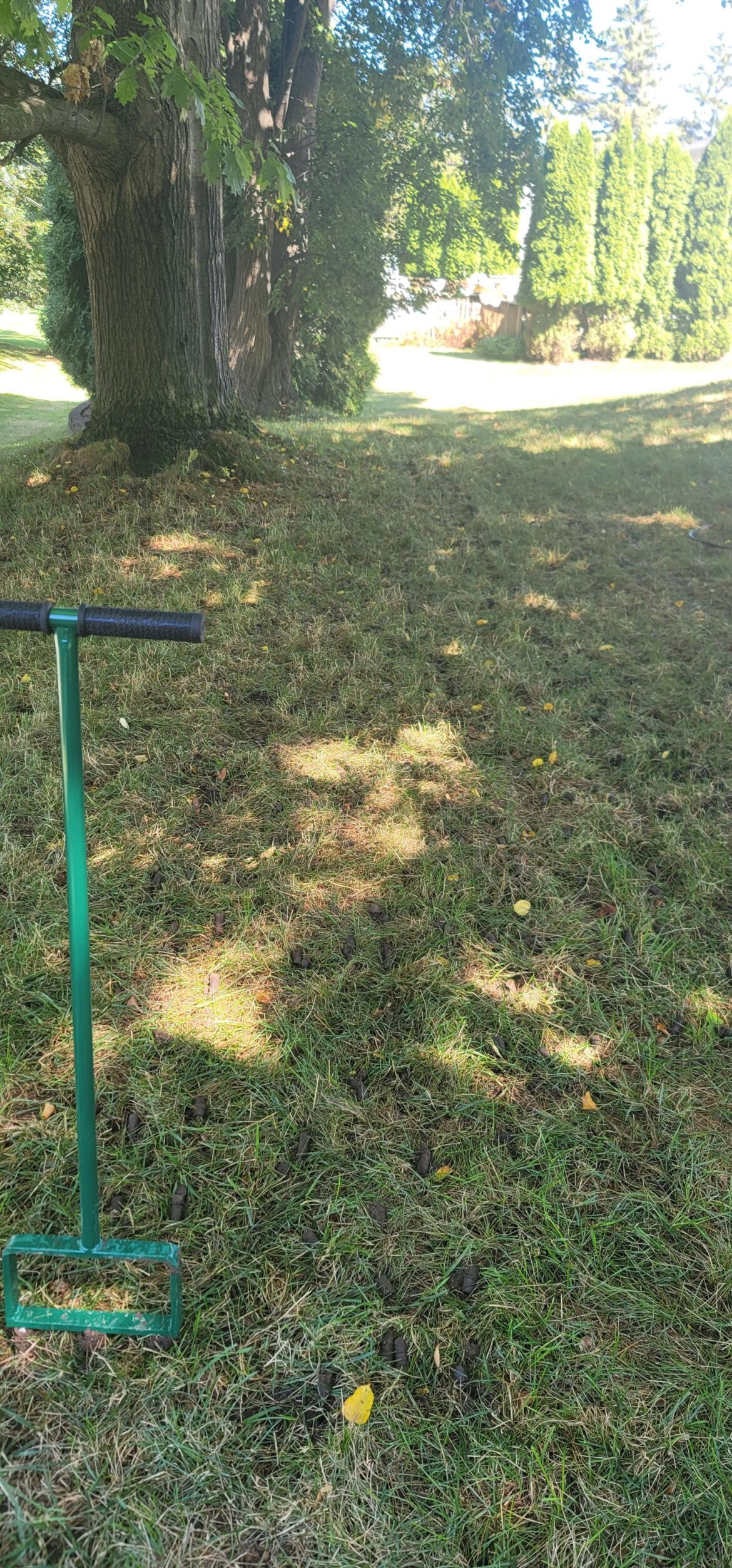 This is gonna hurt tomorrow