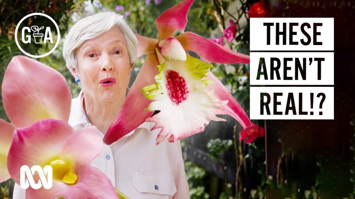 This Artist Turns Clay into Realistic Flowers | Discovery | Gardening Australia This Artist Turns Clay into Realistic Flowers | Discovery | Gardening Australia