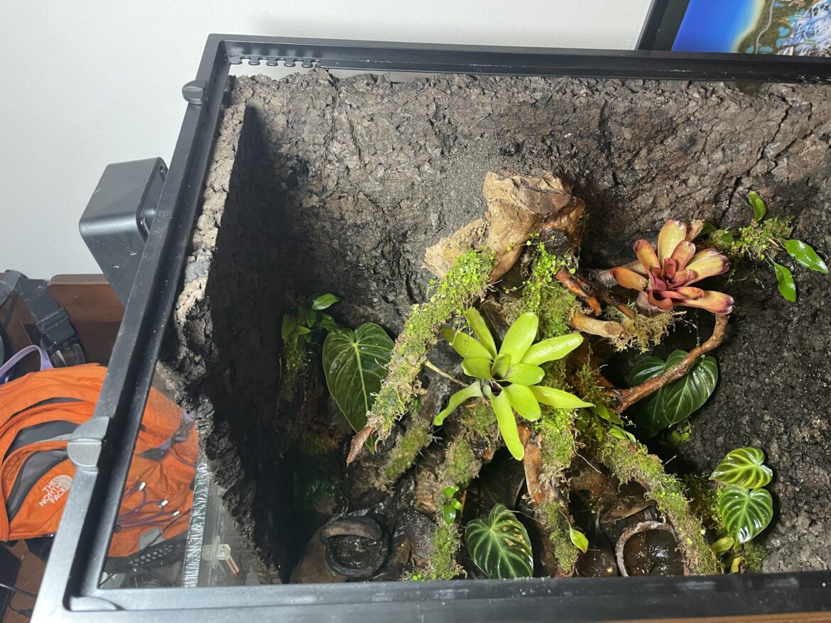 Sealing exo terra enclosure Sealing exo terra enclosure