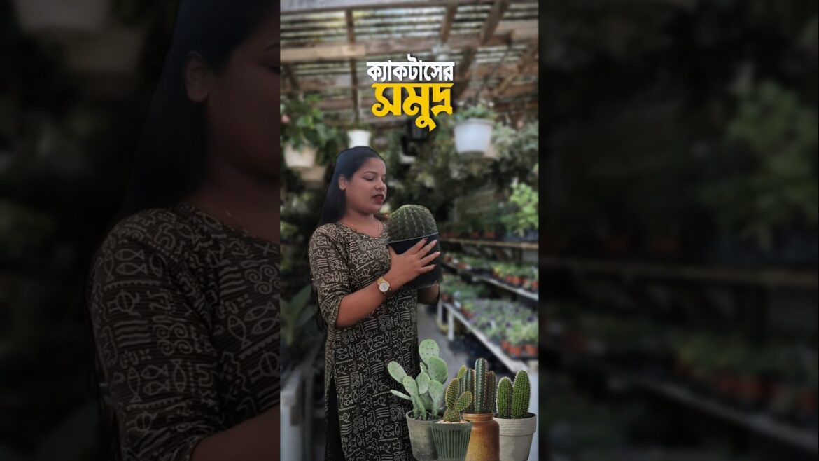 50 টাকায় যে কোন ক্যাকটাস 😰🌵#shorts #minivlog #bengali #gardening