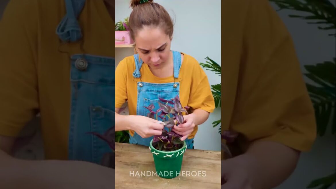 Plant Tips Every Gardener Should Know 🌼