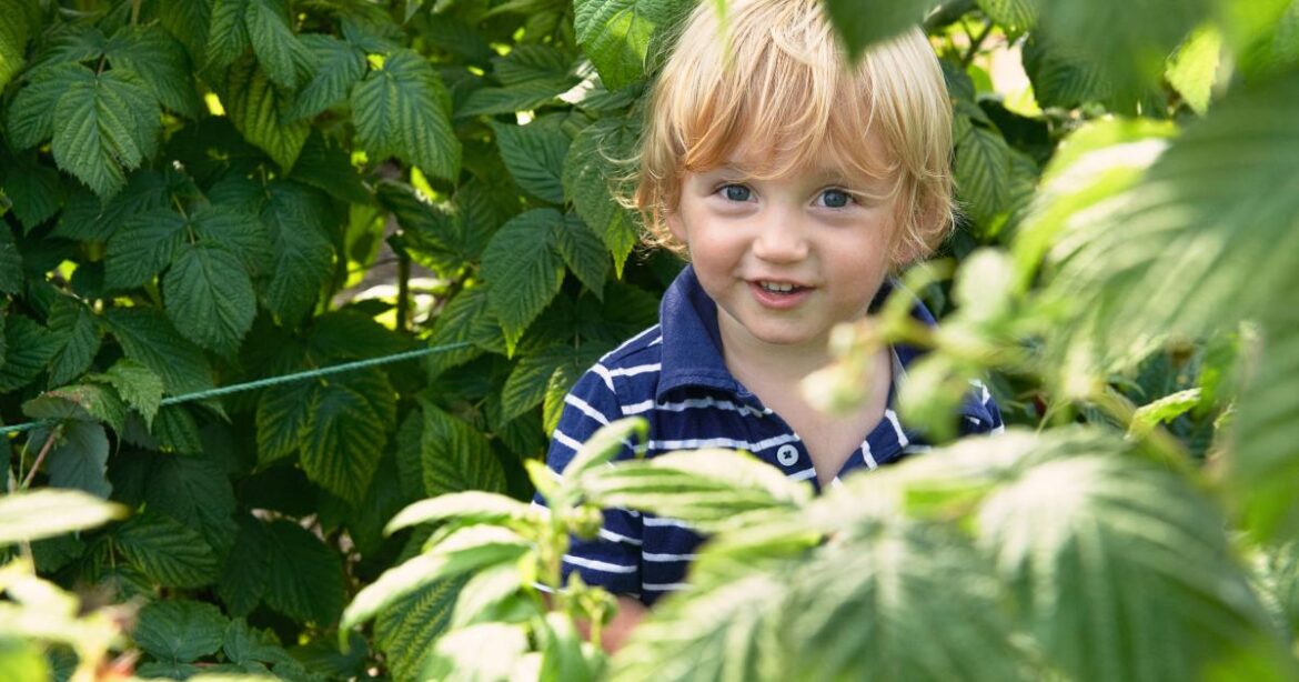 5 great ideas to encourage your children into the garden 5 great ideas to encourage your children into the garden