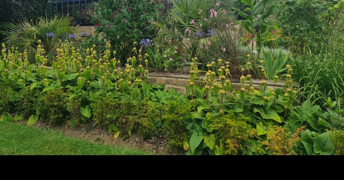 The Orchards in Huby to open to public for charity