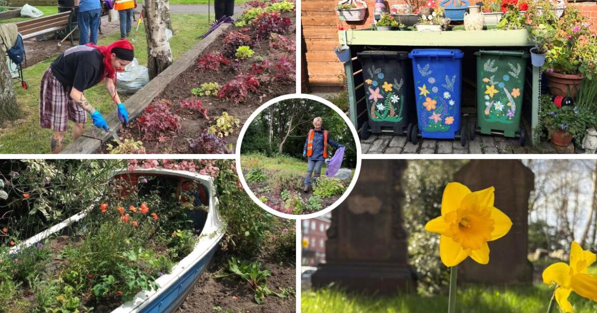 North West in Bloom: Radcliffe gardens entered into competition North West in Bloom: Radcliffe gardens entered into competition