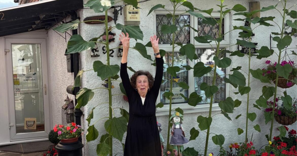 Orpington woman grows flowers and veg in heavenly garden Orpington woman grows flowers and veg in heavenly garden