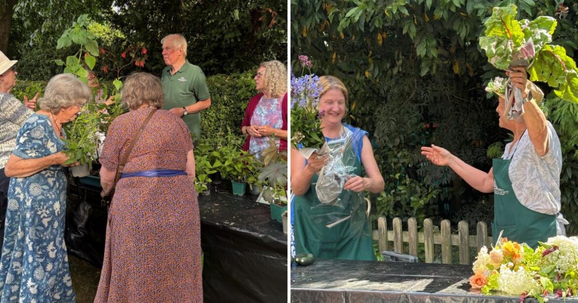 North London flower shows and charity garden events