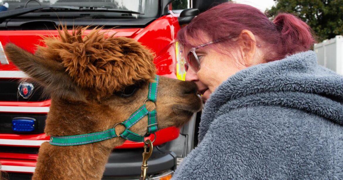 Alloa: Hawkhill fun day and garden opening a big success Alloa: Hawkhill fun day and garden opening a big success