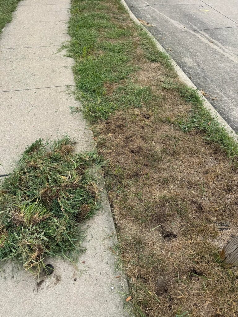 At what point do you just give up At what point do you just give up