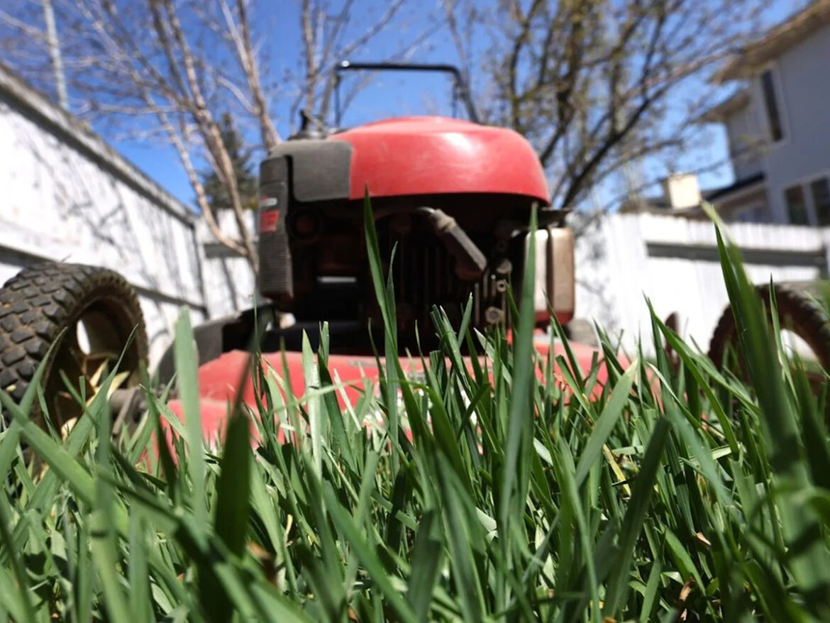 How grass clippings can help your flower beds How grass clippings can help your flower beds