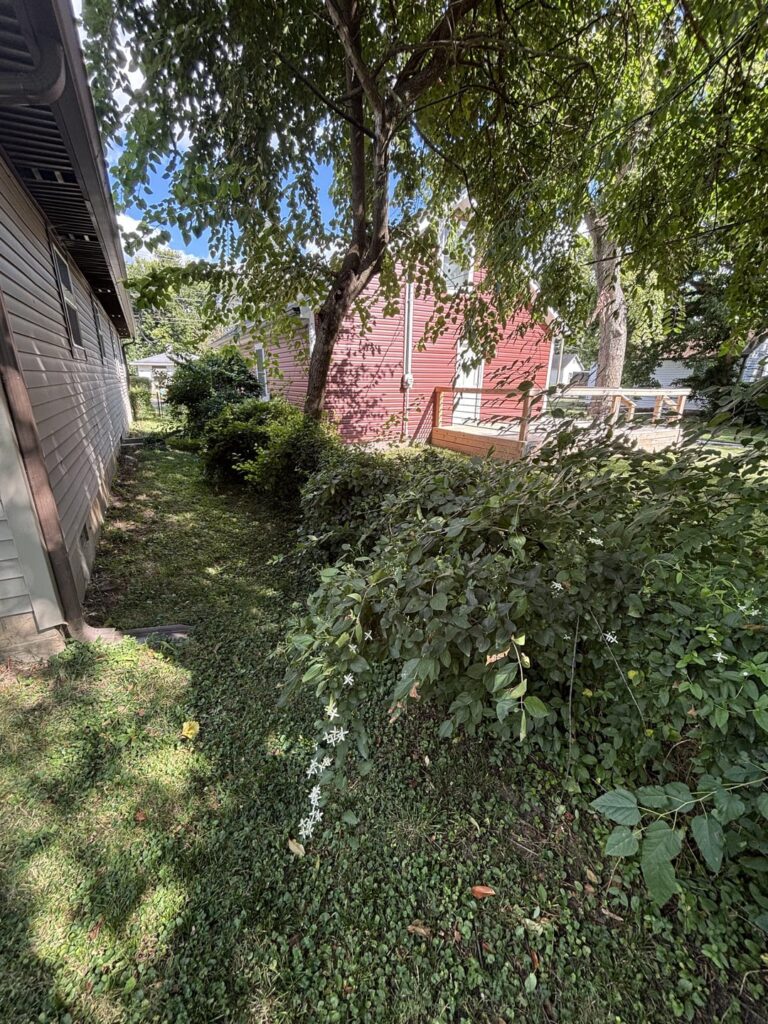 At a loss. Constant weeds and poison/non-poison ivy. Wtf can I do to eradicate this At a loss. Constant weeds and poison/non-poison ivy. Wtf can I do to eradicate this