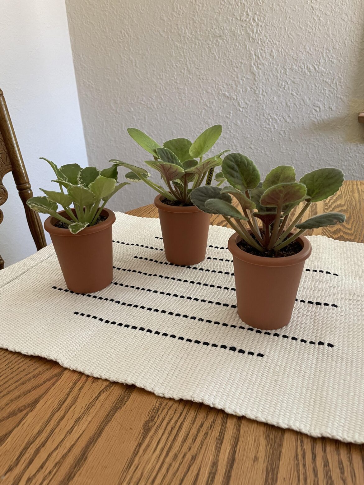 Grew Upright
