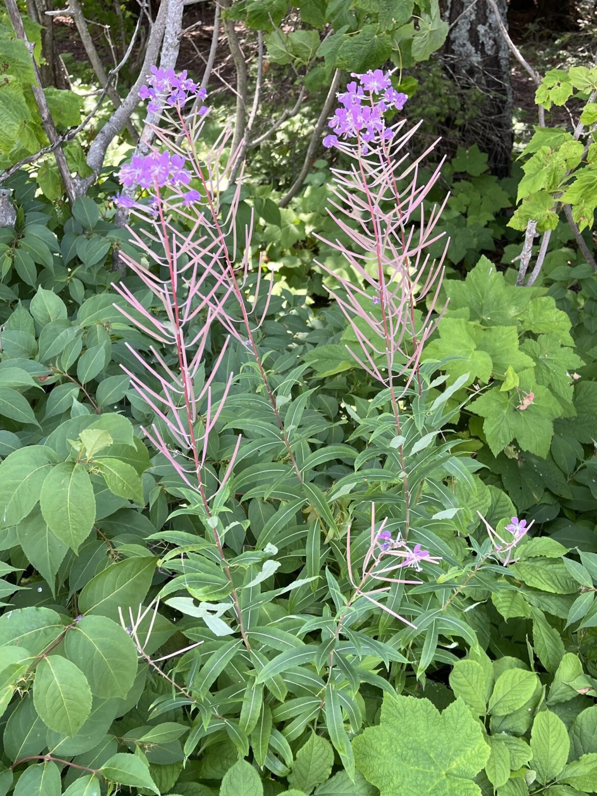 Can’t put my finger on it…