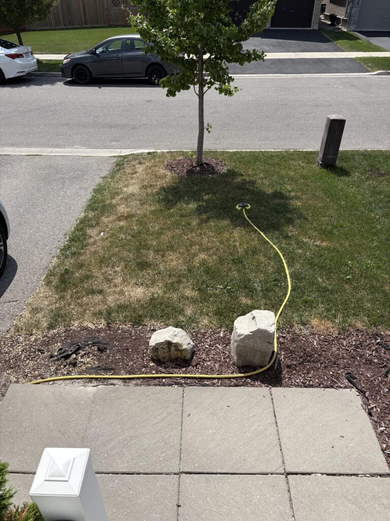 Toronto. Advise needed! My wife tells me I have 2 weeks to have this lawn green or she’ll have her boyfriend come do it.