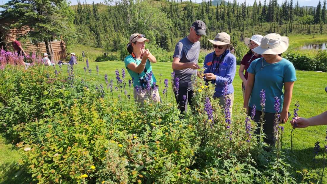 hikers in front of flowers