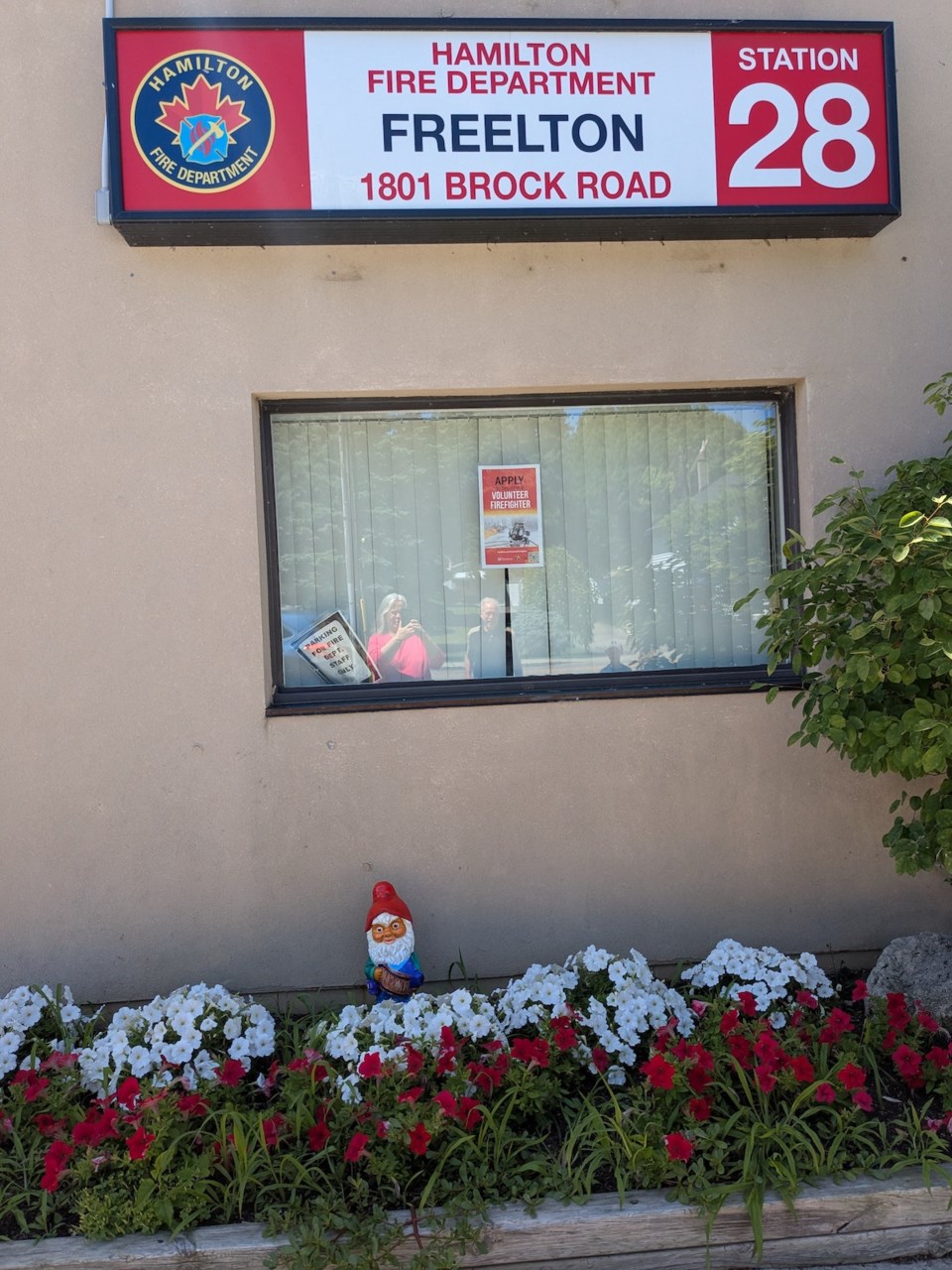 2025-08-05-freelton-gnome-brewer-freelton-in-the-firehall-garden-july-21-2025-sup