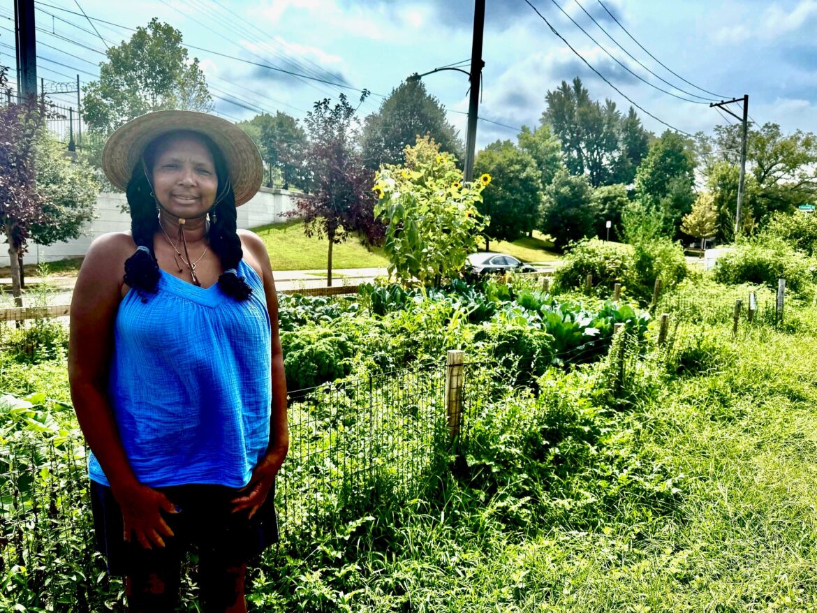 Nicetown-Tioga residents celebrate greening initiatives