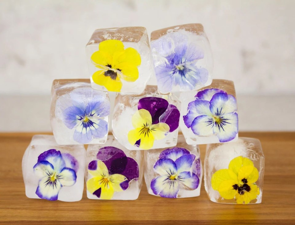 20250801-ice-cube-flowers