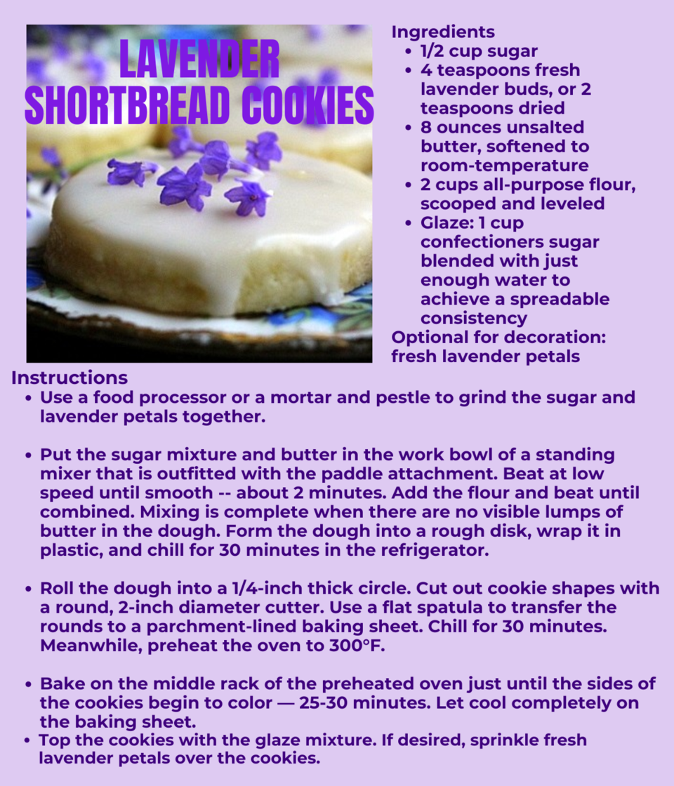 20250801-lavender-shortbread-cookies-july-31
