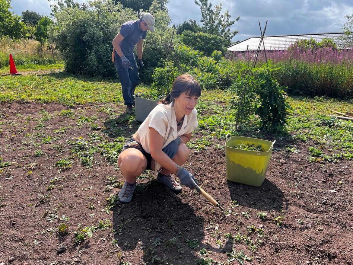 Gardening and outdoor activities project to benefit Powys people with mental health and neurological conditions Powys Teaching Health Board (PTBH) and Flora Cultura will offer gardening, outdoor activities to benefit those with mental health conditions and also those with learning disabilities or neurological conditions
