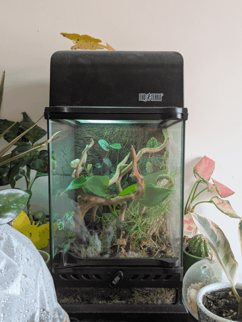 Will this foam draught excluder work at filling these gaps in my terrarium? I have some little critters to add from an invert show but I know they will squeeze through.