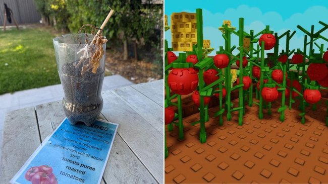 Reality vs Roblox: One tomato from school wilted and half-dead. the other’s living its best life online at midnight.