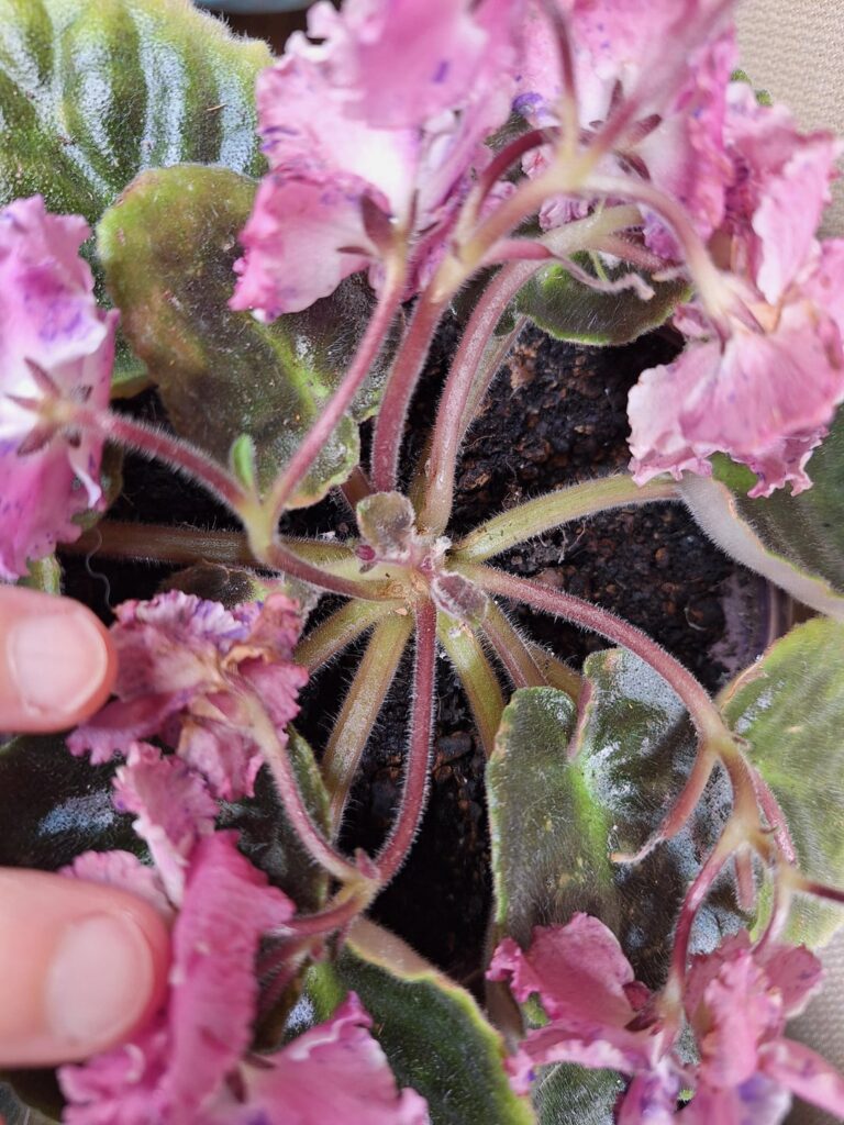 Can anyone tell me what's going on here?