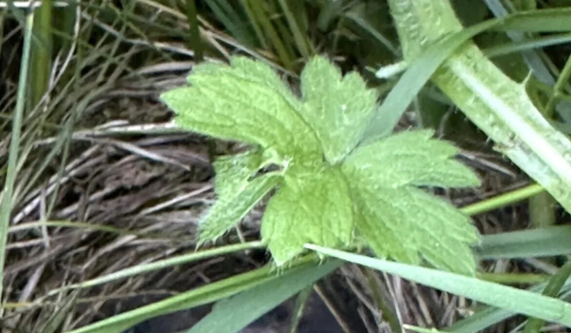 Yahoo lifestyle home