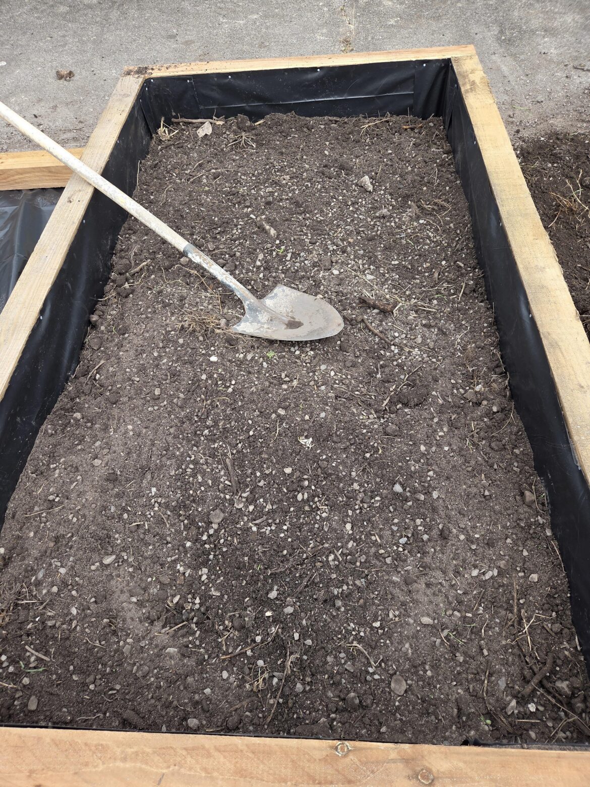 Pebbles in soil for raised vegetables bed