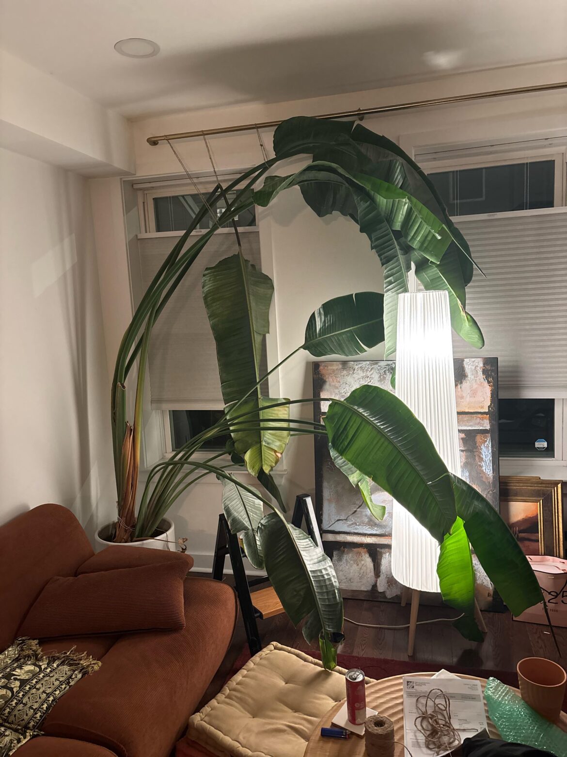 Just got massive BOP Just got massive BOP