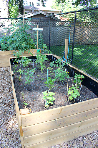 Porcher Park, community garden, growing boxes